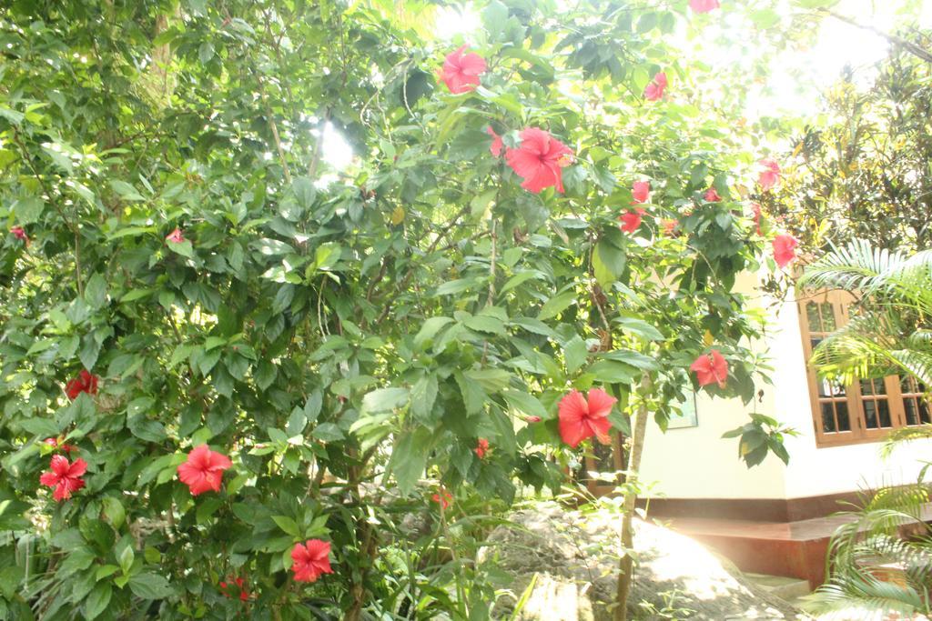 Dionis Villa ウナワトゥナ エクステリア 写真