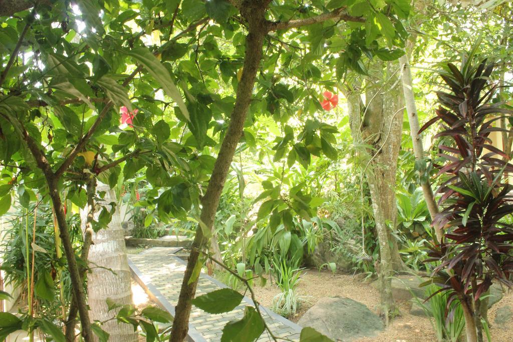 Dionis Villa ウナワトゥナ エクステリア 写真