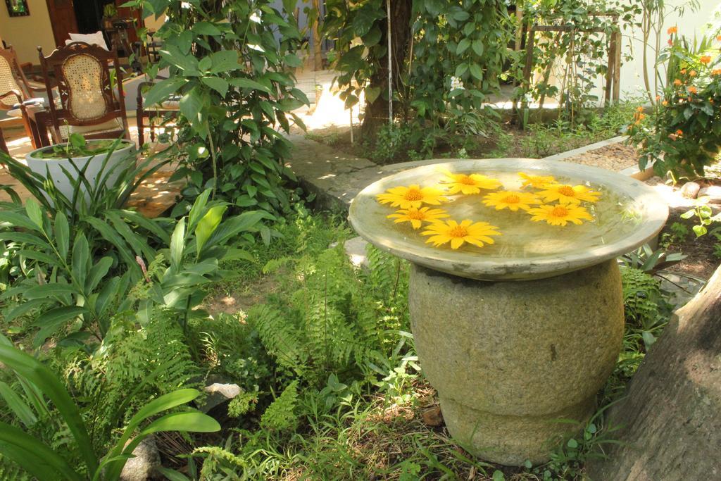 Dionis Villa ウナワトゥナ エクステリア 写真