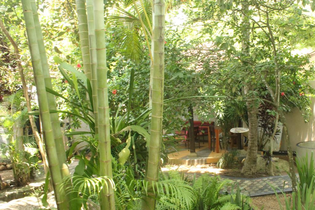 Dionis Villa ウナワトゥナ エクステリア 写真