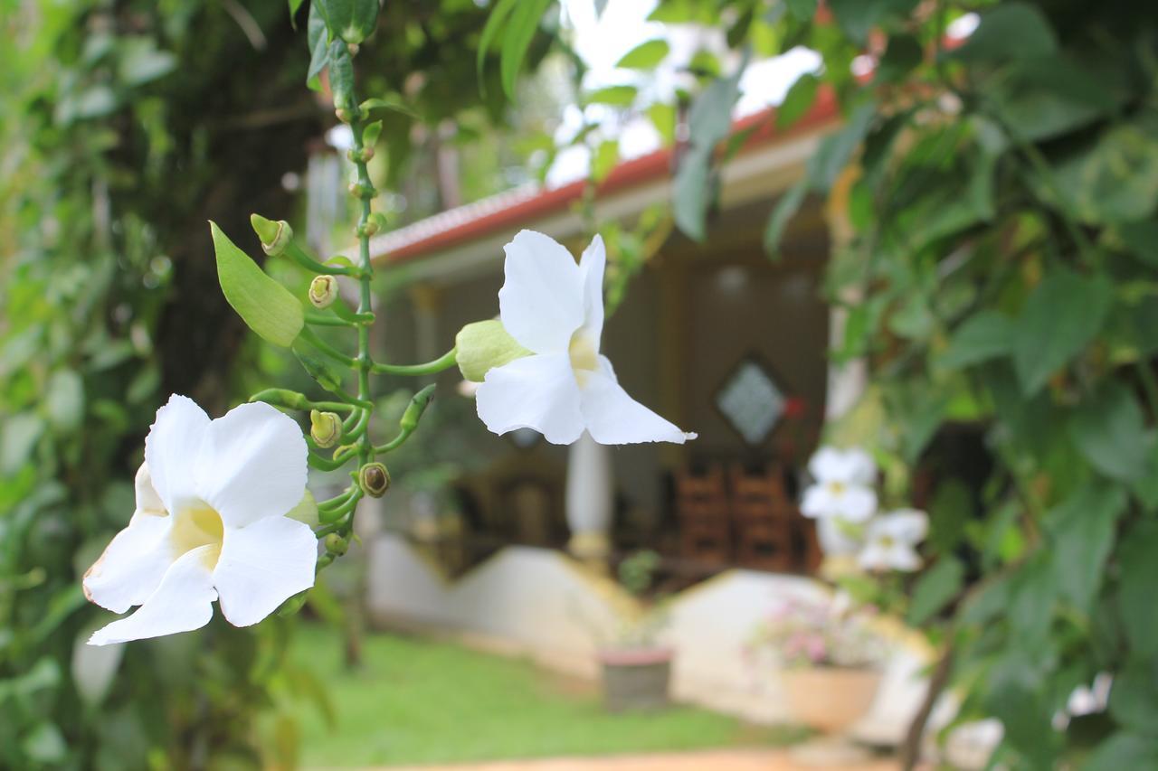Dionis Villa ウナワトゥナ エクステリア 写真